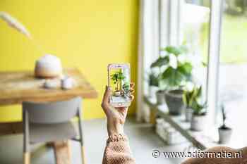 Intratuin komt met augmented reality app voor... kamerplanten