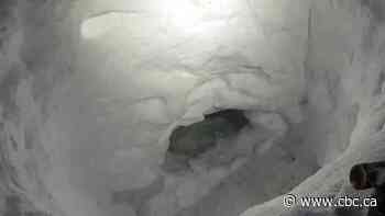 Stranded teen snowmobiler commended by B.C. search and rescue crews for digging snow cave