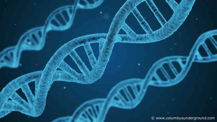 NEXT: The Future of (Bio)Coding
