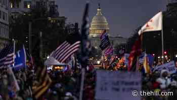 Trump allies, Washington insiders helped plan rallies before Capitol breach: reports