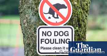 Still binning your mutt’s mess? Eco-friendly pet owners need a dog poo wormery