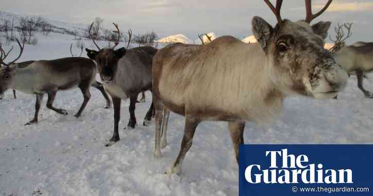 Sámi reindeer herders file lawsuit against Norway windfarm