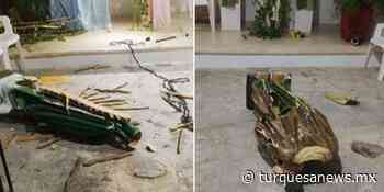 Destrozan imagen de la Virgen de Guadalupe en capilla de Playa del Carmen - Turquesa News
