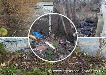 Call to clean up Barnet and Brent beauty spot