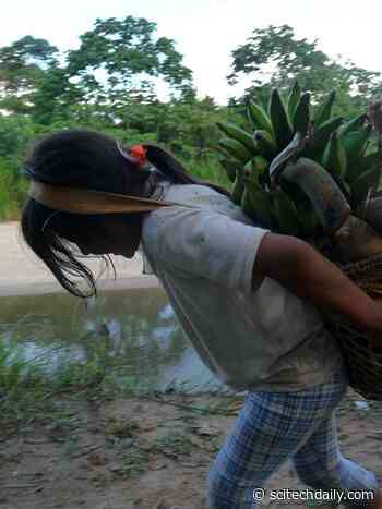 Changing Diets – Not Less Physical Activity – May Best Explain Childhood Obesity Crisis