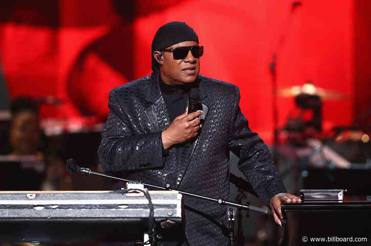 Stevie Wonder Uses MLK Day to Request Inequality Commission From Biden Administration