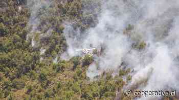 Alerta Roja por incendio forestal en Chanco que amenaza reserva nacional
