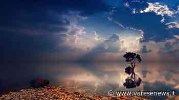 Annuncio Famiglia Mauro Erba - VareseNews - Varesenews