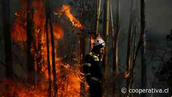 Declaran alerta roja para Nacimiento por incendio forestal que amenaza viviendas