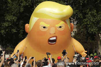 Trump baby blimp enters museum collection