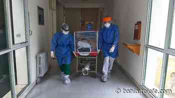 Coronavirus en Coronel Rosales: informan 17 casos positivos y 9 recuperados - Telefe Bahia Blanca