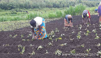 Woman entrepreneur's journey from labourer to employer - The New Times