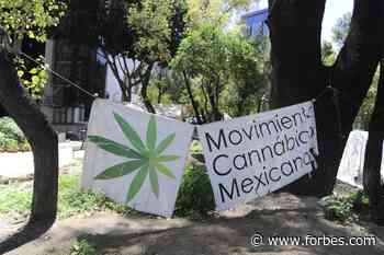 At Last, Mexico Publishes Medical Cannabis Regulations - Forbes