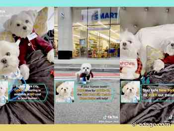 NYC hospitals adopt influencer strategy to promote COVID testing, complete with Misty Copeland and dogs