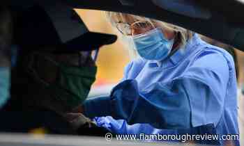 Hamilton's hospital flu cases at 'unprecedented' low levels - The Flamborough Review