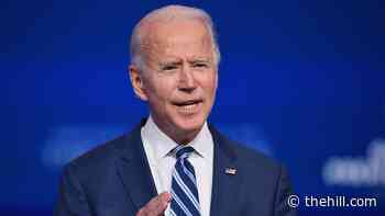 Coronavirus response, economy top Americans' priorities for Biden administration