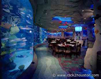 At this Houston restaurant, you can dine and drink underwater -- no scuba gear required - KPRC Click2Houston