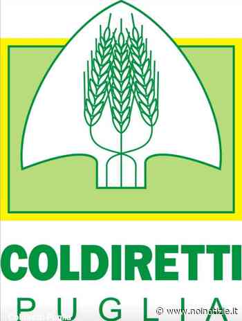 Putignano: benedizione degli animali - Noi Notizie