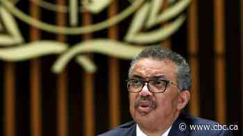 China, WHO should have acted quicker to stop pandemic: expert panel