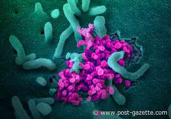 COVID-19 Update: Pennsylvania amends vaccination eligibility in campaign's first phase