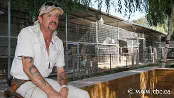 U.S. judge orders Tiger King zoo to surrender big cats