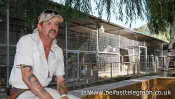 Tiger King zoo ordered to turn over big cats