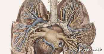 No Better Time to Consider Our Lungs