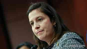 Stefanik knocks Albany newspaper over 'childless' characterization