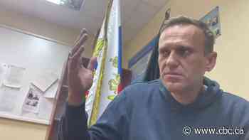 Alexei Navalny's return to Russia solidifies opposition leader's role as 'anti-Putin'