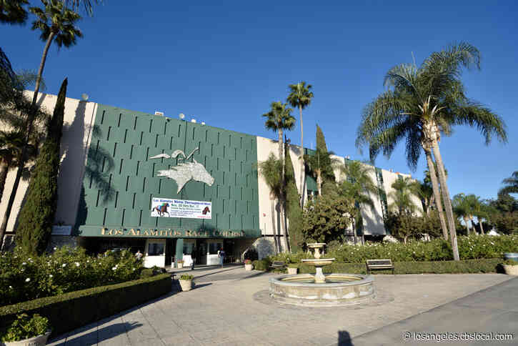 2 Horses Die During Training At Los Alamitos Race Course