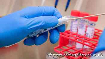 US coronavirus death toll tops 400,000