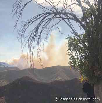 Brush Fire ‘With Potential For 500 Acres’ Erupts In Santa Clarita