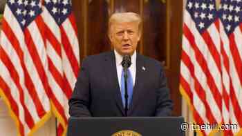 Trump takes victory lap, does not mention Biden in farewell video message