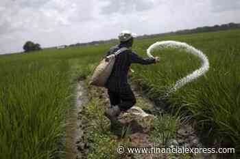 DBT scheme for fertiliser subsidy may be rolled out in FY22