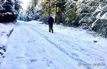 Vorsicht im verschneiten Winterwald - Bad Griesbach - Passauer Neue Presse