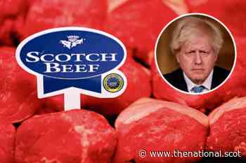 Crisis warning for Scots food industry as meat left rotting in EU ports - The National