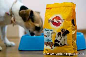 Pedigree and Chappie dog food is being recalled - here's why - Yorkshire Post