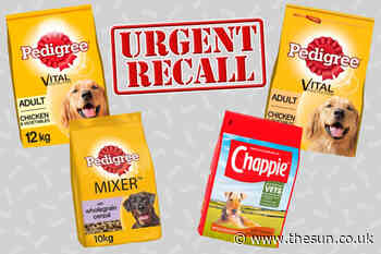 Pedigree and Chappie dog food recalled over fears they contain dangerous levels of vitamin D - The Sun