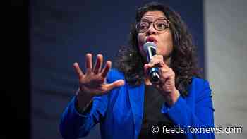 'Squad' member Rashida Tlaib says 'Israel is a racist state'