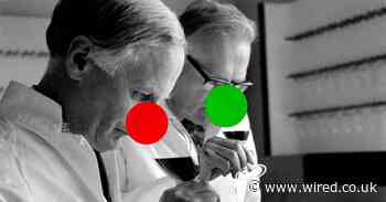 Their noses paid the bills. Then Covid took their sense of smell