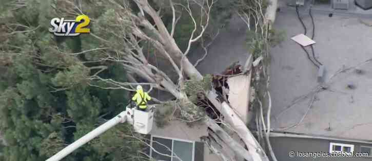 Strong Winds Lead To Power Outages, Trees Falling Onto Homes, Big Rig Crashes