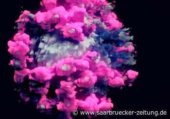 Tagesbericht Corona 18. Januar Landkreis Neunkirchen - Saarbrücker Zeitung