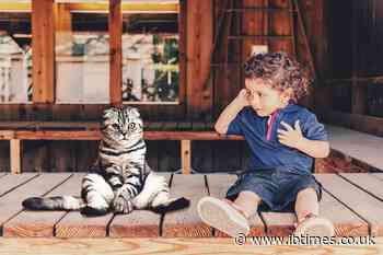 Purrfect pals: Kids with autism may benefit from having a pet cat around