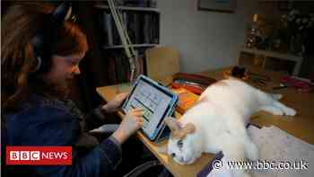 Mobile networks to make Oak lessons site data-free