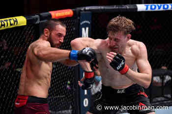 Martial Arts in the Age of Trump - Jacobin magazine