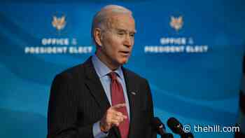 Biden to send Congress immigration reform bill after being sworn in