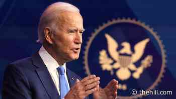 Biden to nix border wall, 'Muslim ban' on first day in office