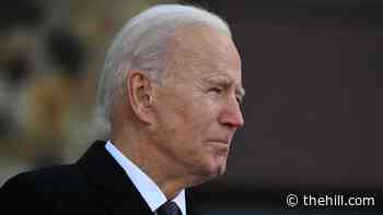 Biden to sign flurry of executive actions in first hours of presidency