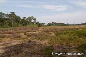 Natuurpunt kant zich tegen fietsostrade door Tielenheide