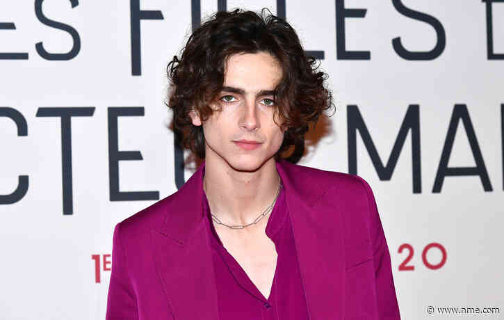 Timothée Chalamet reportedly eyed to play Willy Wonka in new prequel